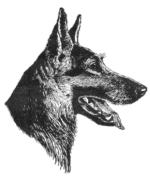 Verein für Deutsche Schäferhunde - Ortsgruppe Ricklingen